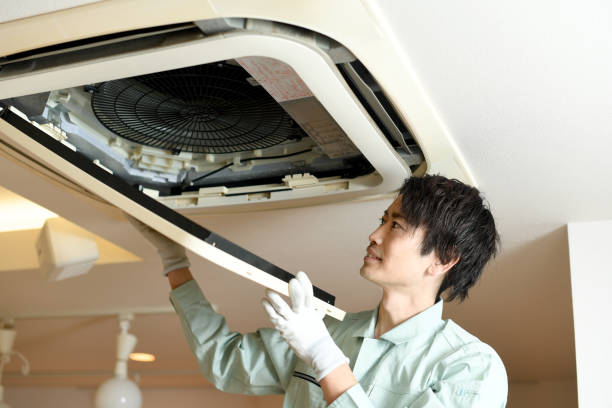 Best Affordable Duct Cleaning Services  in Suitland, MD